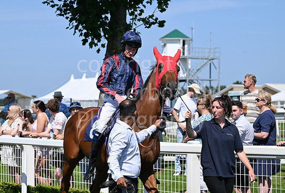 Gt_Yarm_July_30_2024-102