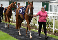 Gt_Yarm_27th_July_2021-1