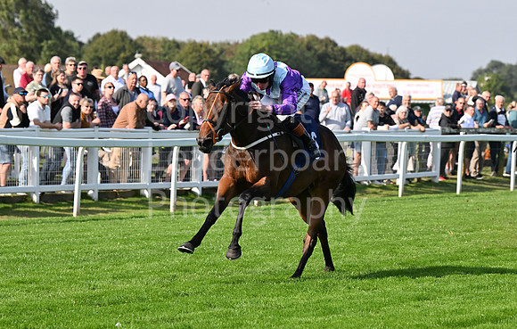 Gt_Yarm_Eastern_Fest_18_Sept_2024-67