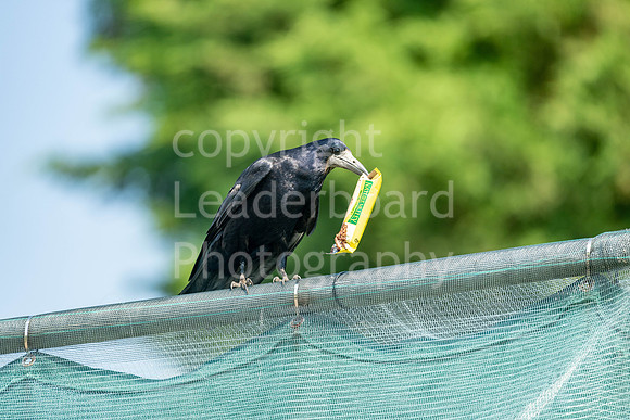 SAP_EDGA_Stoke_Nayland_2024-81