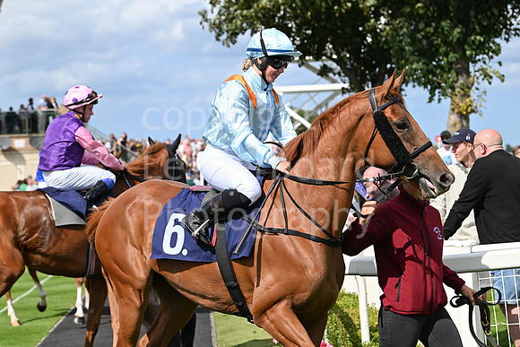 Gt_Yarm_25_Aug_Family_Raceday_2024-13