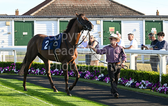 Gt_Yarm_Ladies Night_2025-82