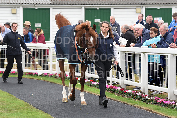Gt_Yarm_Eastern_Fest_Day_1-40