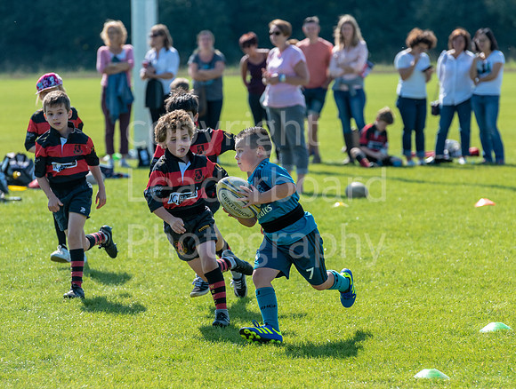 bs_65_WRFC_2018