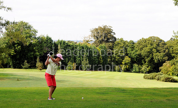 AJ_29_PING_PLATE_2009
