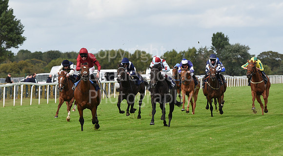 Gt_Yarm_15_Sept_2022-78