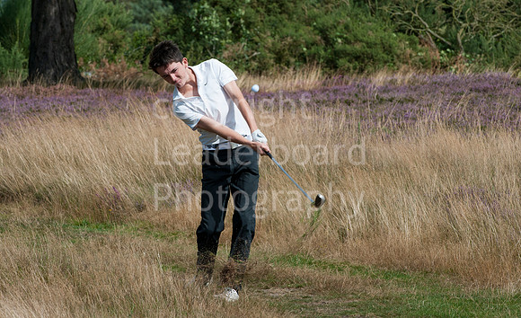 LB_Fullers_Gold_Medal_2014__832