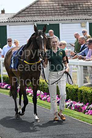 Gt_Yarm_Residents_Day_June_27-3