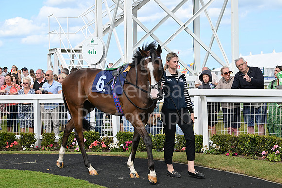 Gt_Yarm_25_Aug_Family_Raceday_2024-41