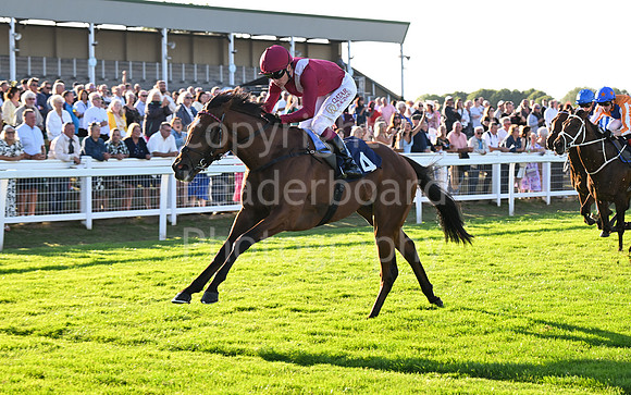 Gt_Yarm_Ladies Night_2025-113