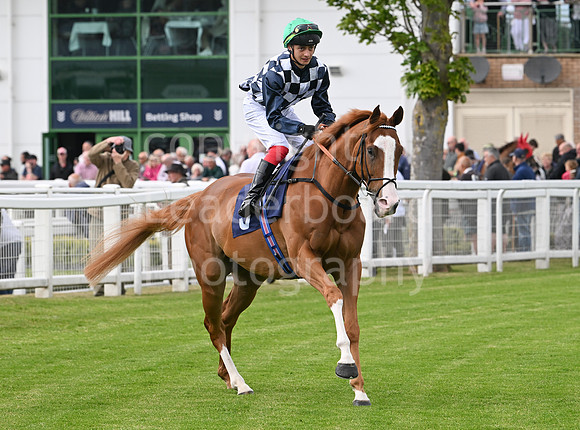Gt_Yarm_May14_2025-142