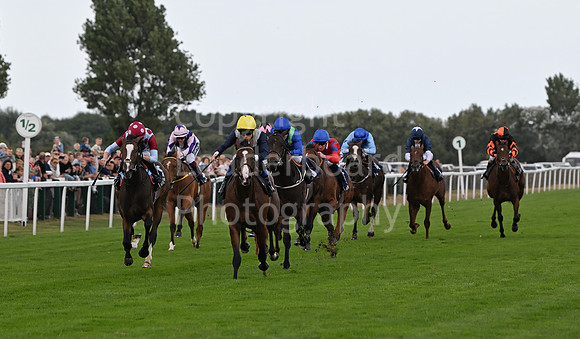 Gt_Yarm_24_Aug_2025-58