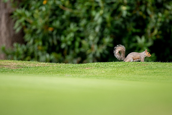 193_GOLF_WEEK_2018