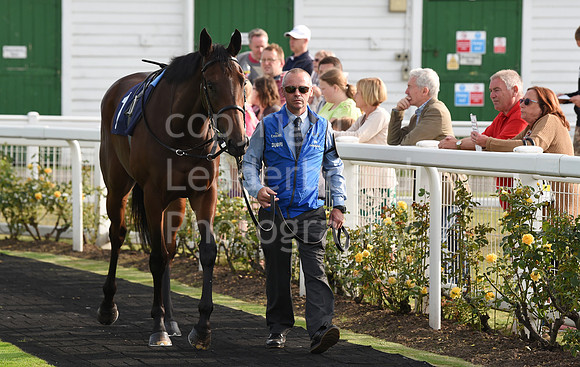 20_GY_Races_20Aug