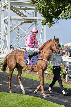 Great Yarmouth  Race Seven 11th Aug 2021 0525