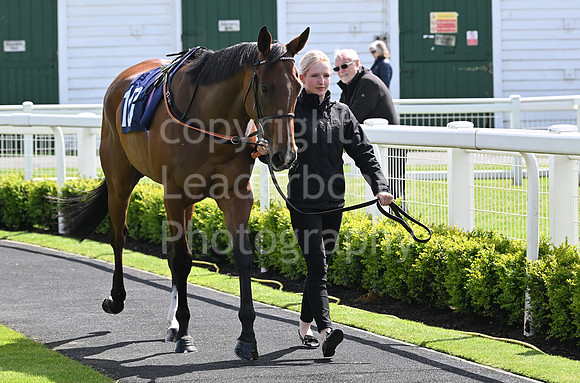 Gt_Yarm_May_22_2024-53
