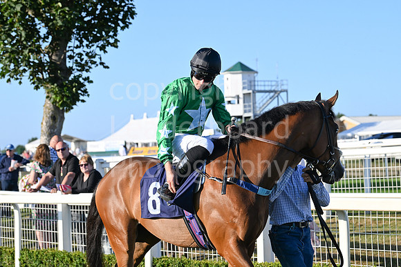Gt_Yarm_Ladies Night_2025-90