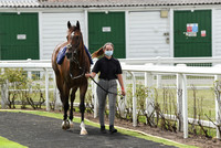 Great_Yarm_Racing_15July-8