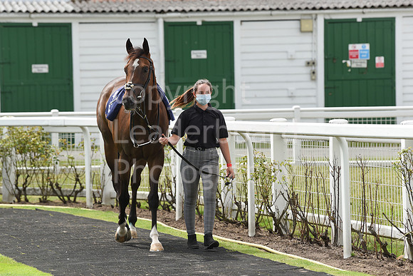 Great_Yarm_Racing_15July-8