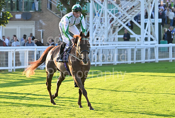 Gt_Yarm_Ladies Night_2025-160