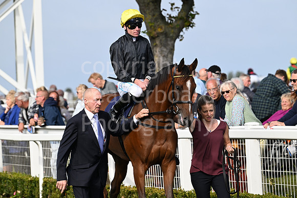 Gt_Yarm_Eastern_Fest_18_Sept_2024-60