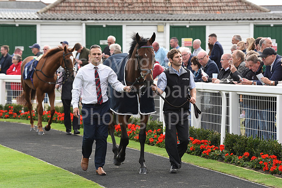 Gt_Yarm_15_Sept_2022-94