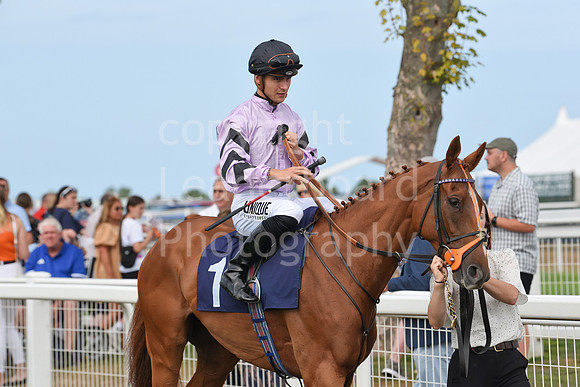Gt_Yarm_21_Aug_2022-86