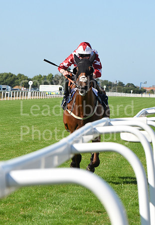 Gt_Yarm_Races_10_Aug_2022-128