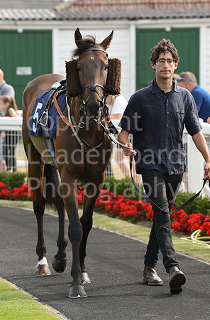 Gt_Yarm_26_July_2022-175
