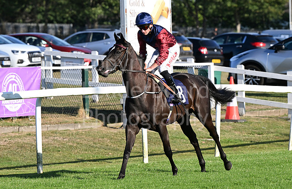 Gt_Yarm_Ladies Night_2025-55
