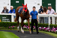 Gt_Yarm_3_Aug_2025-8