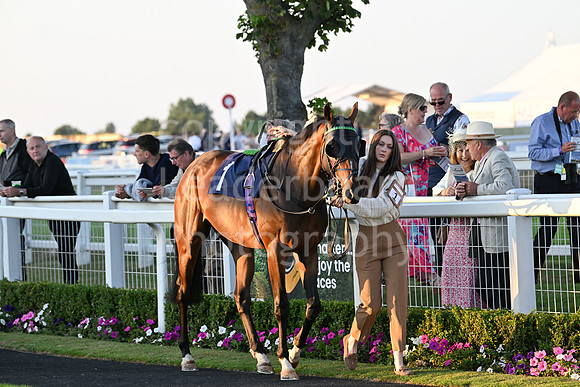 Gt_Yarm_Ladies Night_2025-190