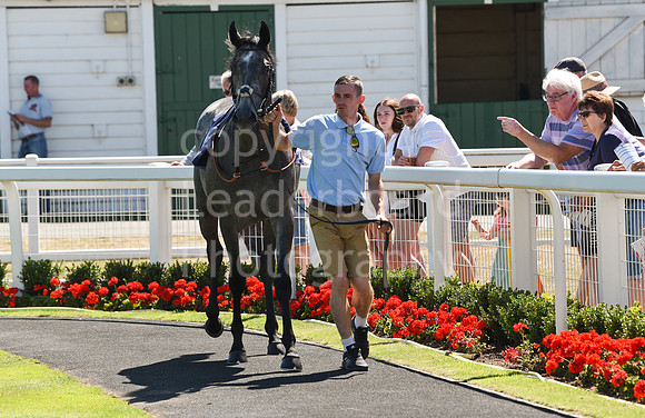 Gt_Yarm_Races_10_Aug_2022-30