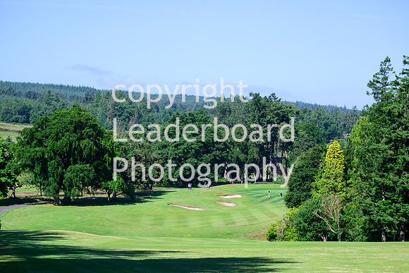 NZ9_3999