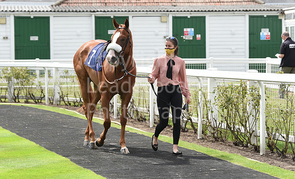 Great_Yarm_Racing_15July-1