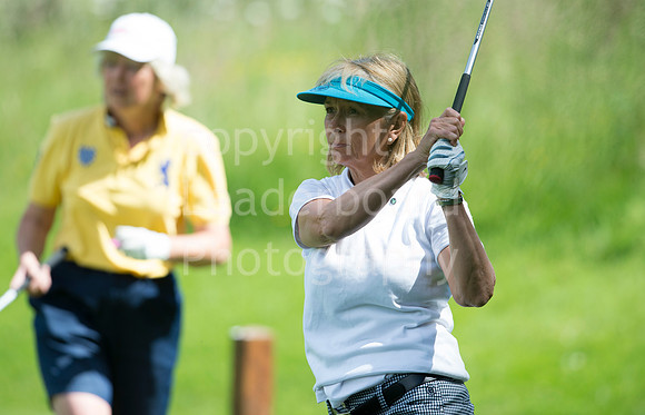 LB_Senior_womens_stroke_play_2016_1389