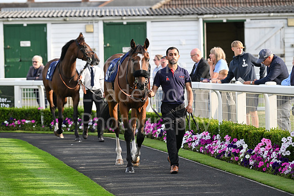 Gt_Yarm_6_Aug_2025-120