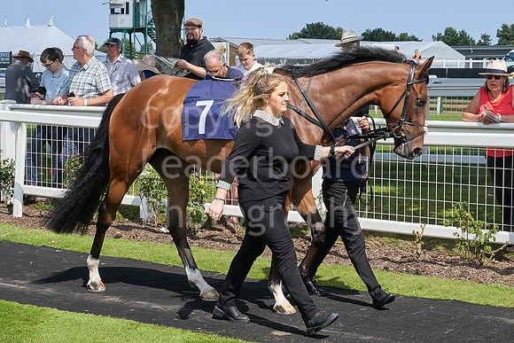Great Yarmouth  Race Three 11th Aug 2021 0221