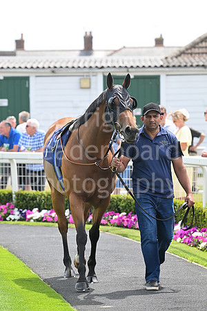 Gt_Yarm_Residents_Day_June_27-2