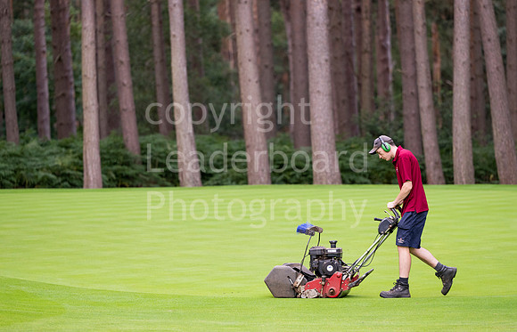 NB_016_Under_25_Woburn