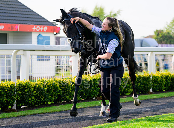 NZ9_6095
