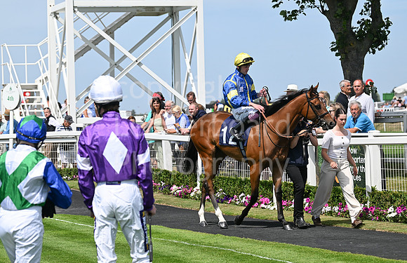 Gt_Yarm_Residents_Day_June_27-48