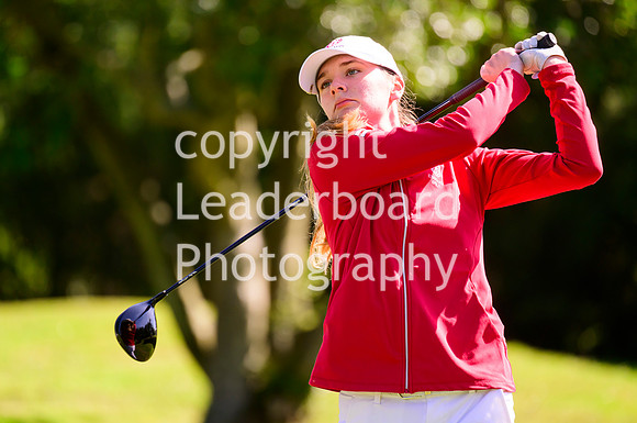 NZ9_4096