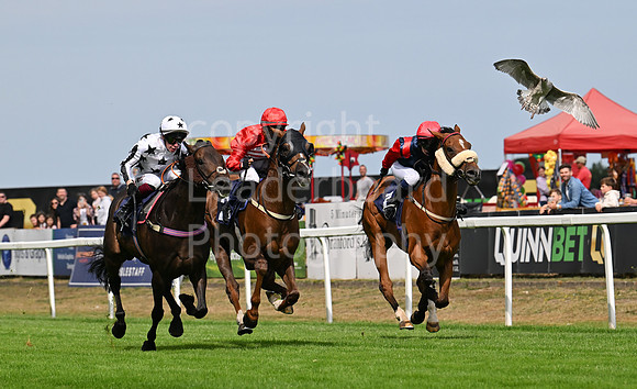 Gt_Yarm_24_Aug_2025-20
