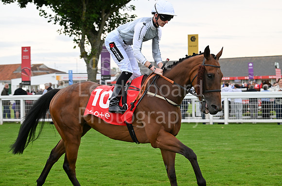 Gt_Yarm_July25_Racing_League_2024-233