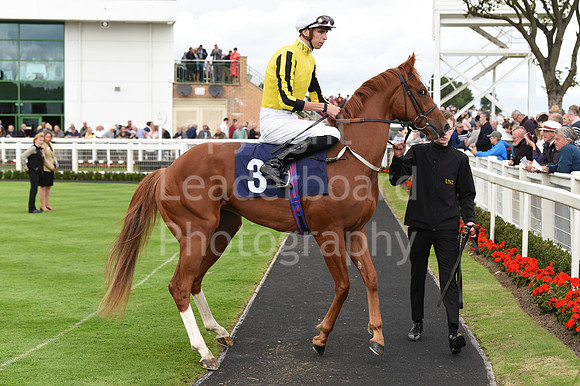 Gt_Yarm_15_Sept_2022-106