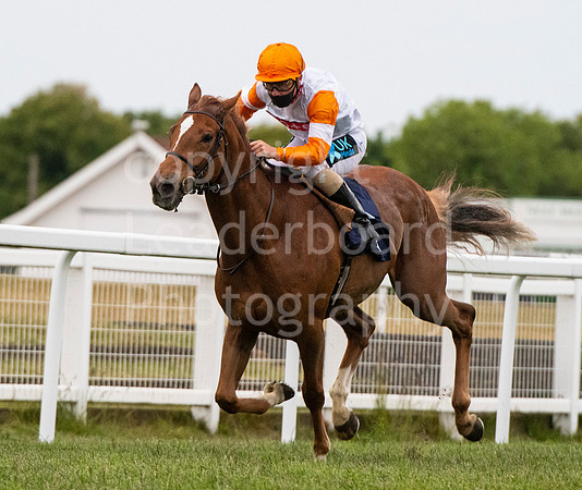 Race_8_winner