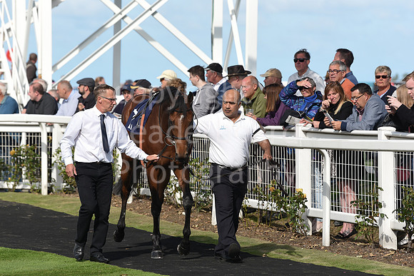 19_GY_Eastern_Festival_Day2_2019