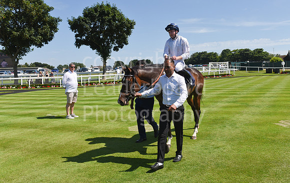 Gt_Yarm_July_30_2024-83