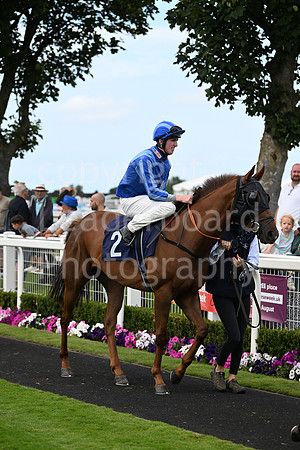 Gt_Yarm_3_Aug_2025-189